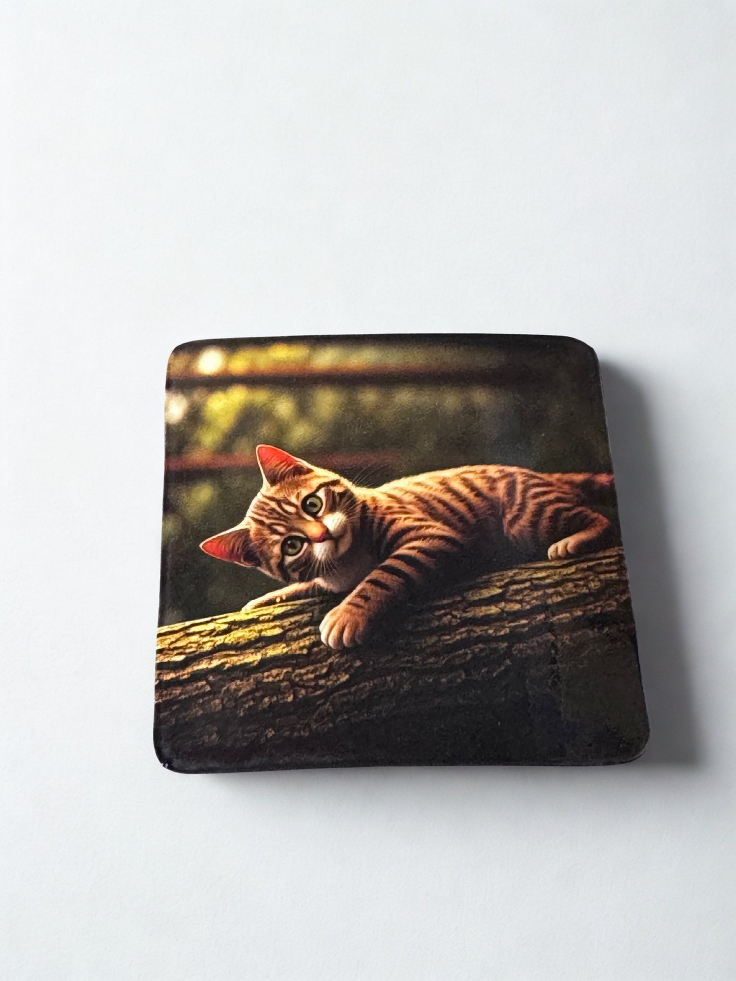 Sleeping Cat Fridge Magnet