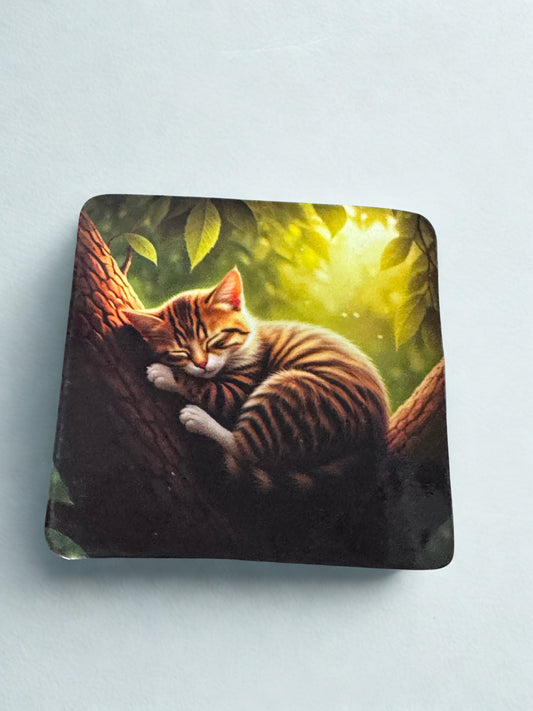 Sleeping Cat Fridge Magnet